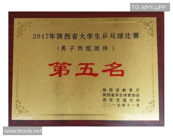 北京乒乓球队耐力对比深度解析与训练方法探讨