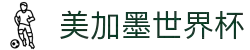 美加墨世界杯(官方中文网站) - -2026WorldCup